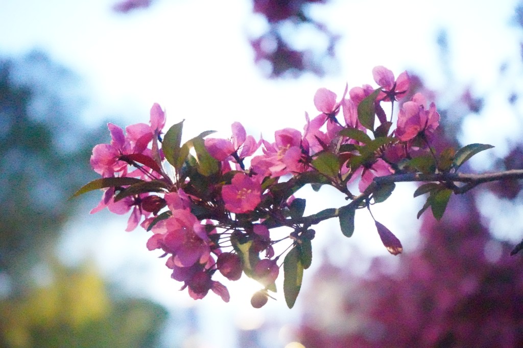 To Move Forward, You Need a Renewed&nbsp;Mindset