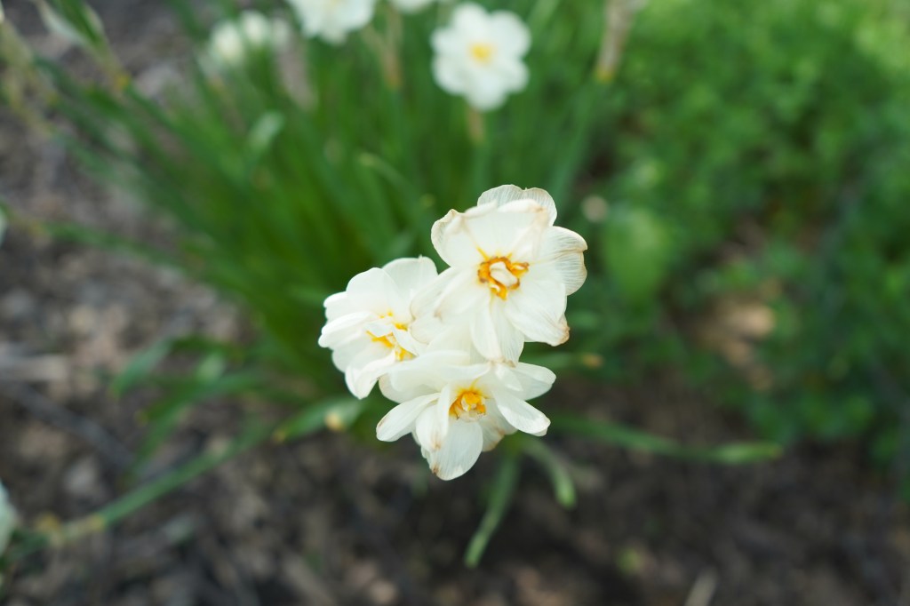 Privacy is Key. Keep it to Yourself.